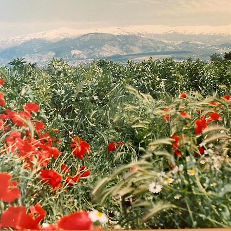 Encantador Cortijo La Emiliana A 5 Minutos Del Centro Churriana de la Vega Exterior foto