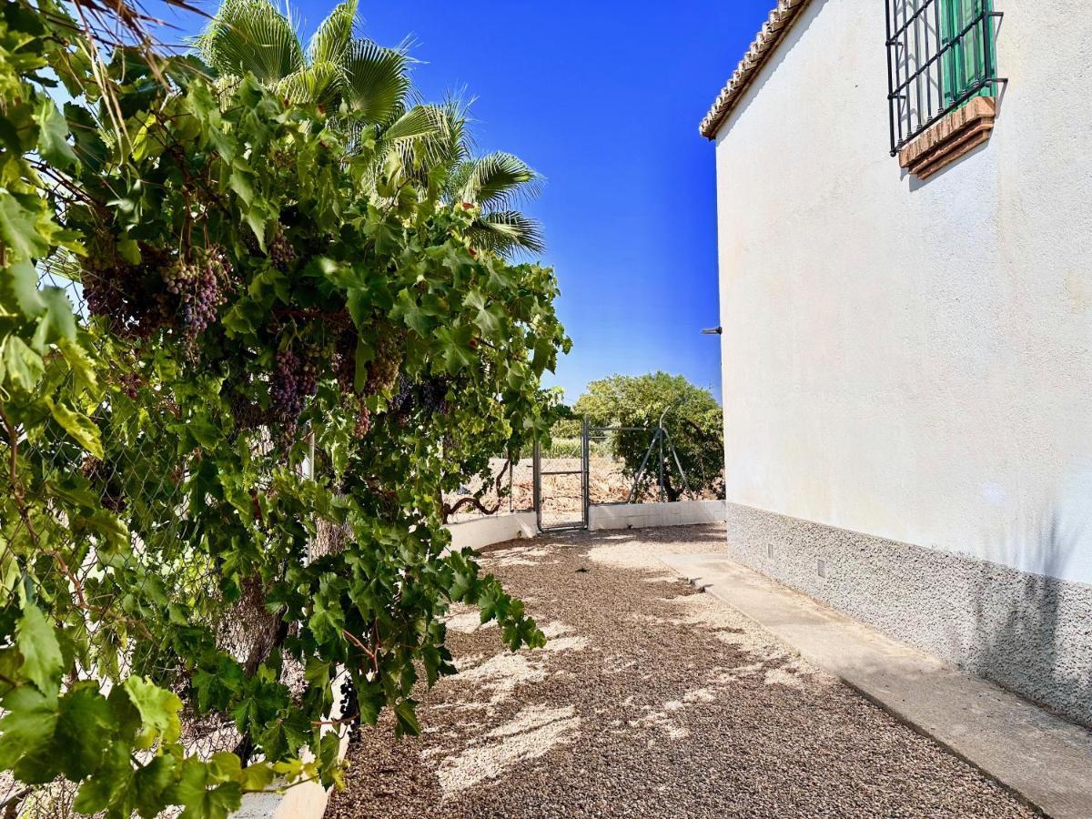 Encantador Cortijo La Emiliana A 5 Minutos Del Centro Churriana de la Vega Exterior foto